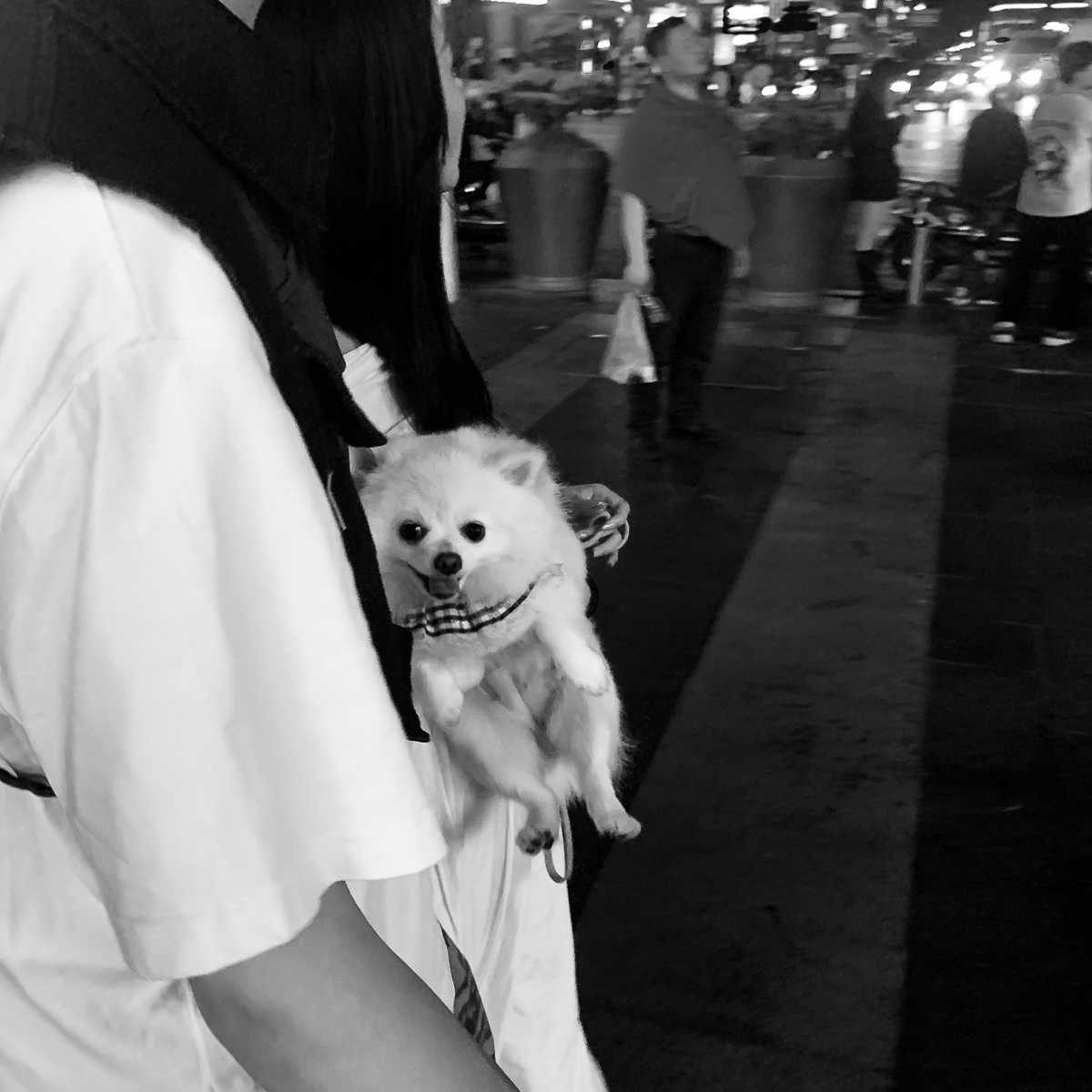 街头面孔 image 110